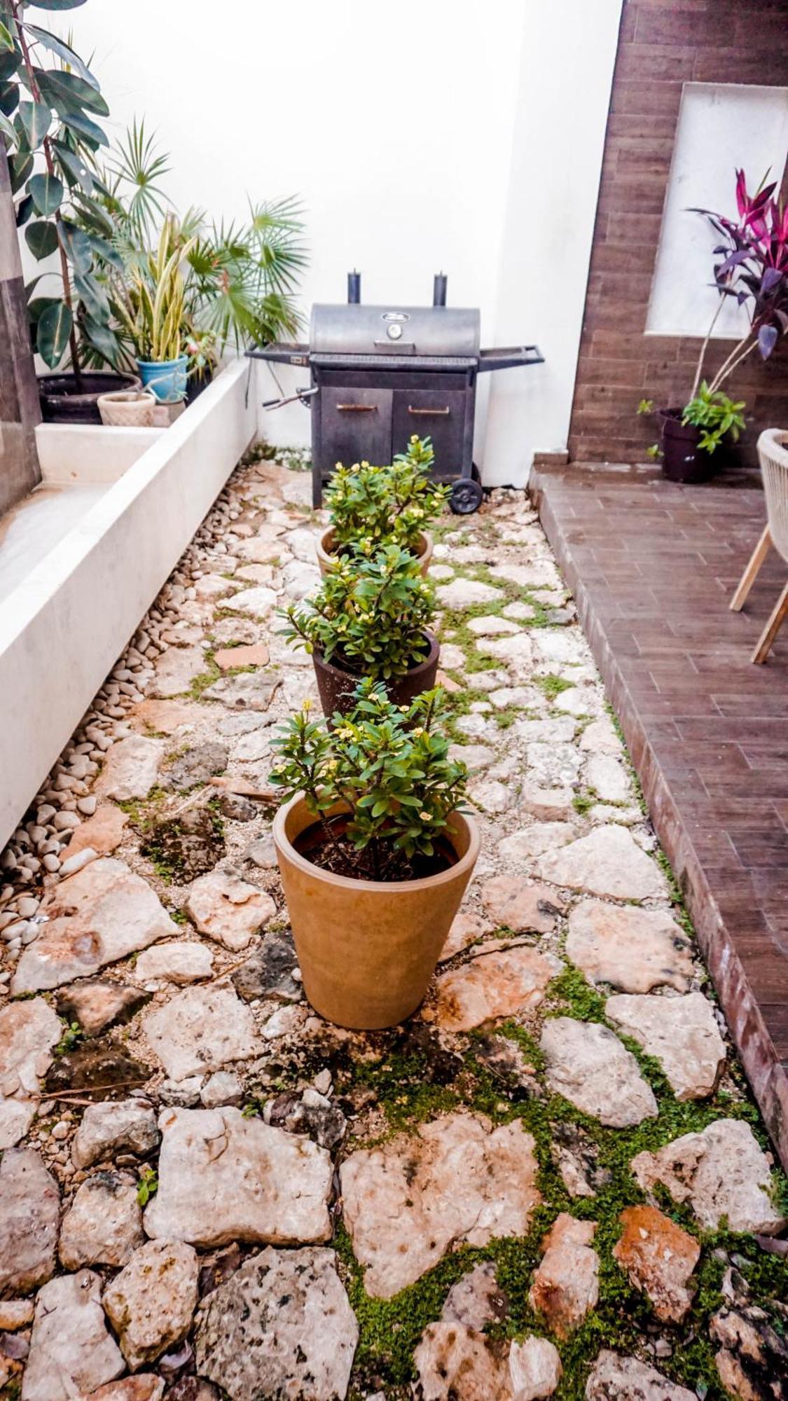 Casa Montejo ميريدا المظهر الخارجي الصورة
